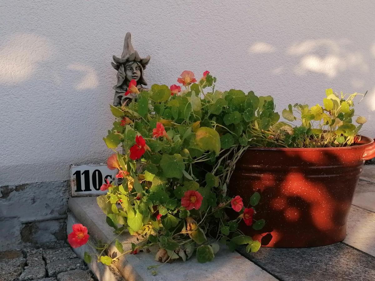 Kaethes Sommerhaus Schöna Esterno foto